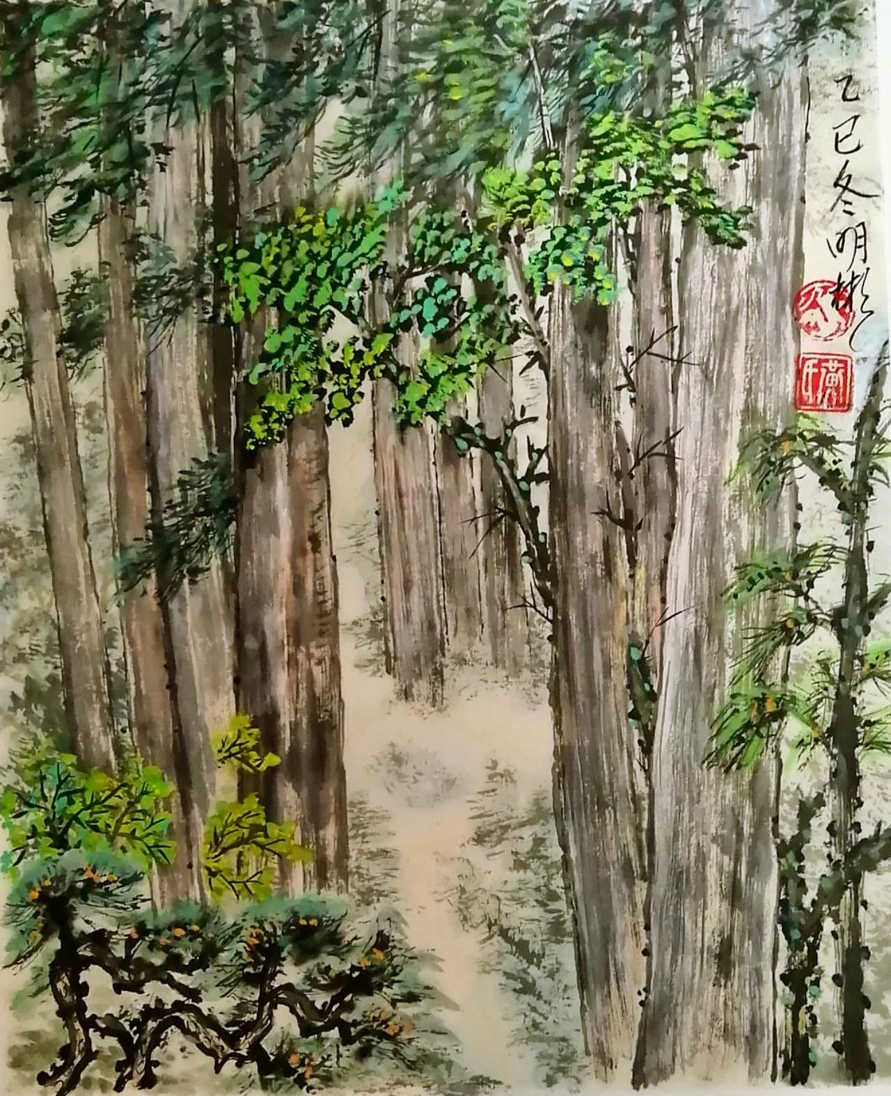 Guardian Cedar of Lynn Canyon