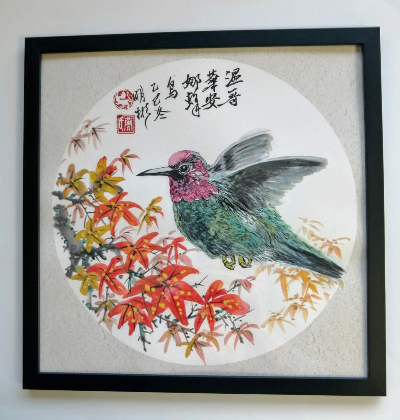 Anna’s Hummingbird