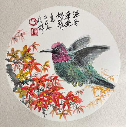 Anna’s Hummingbird