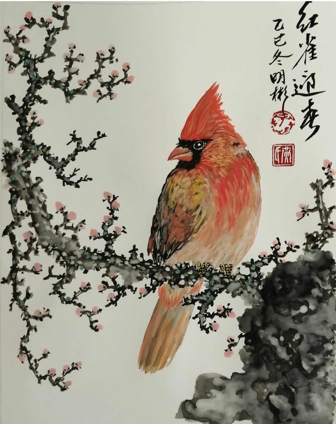 Red Jay